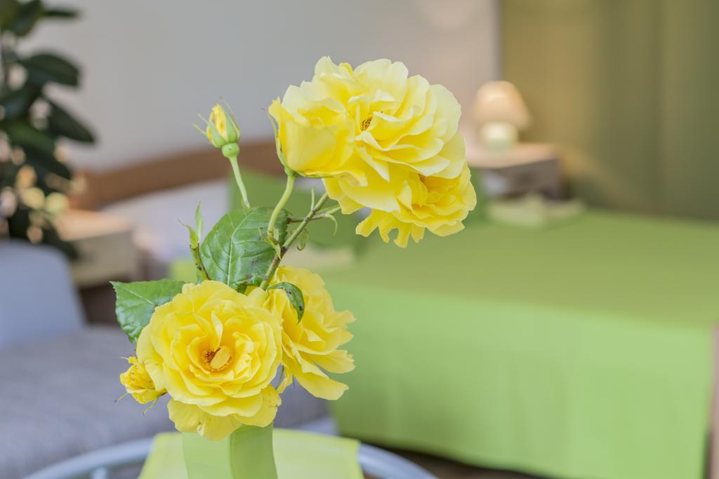 Apartment Istria *