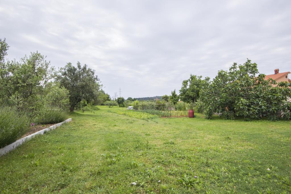 Apartment Istria *