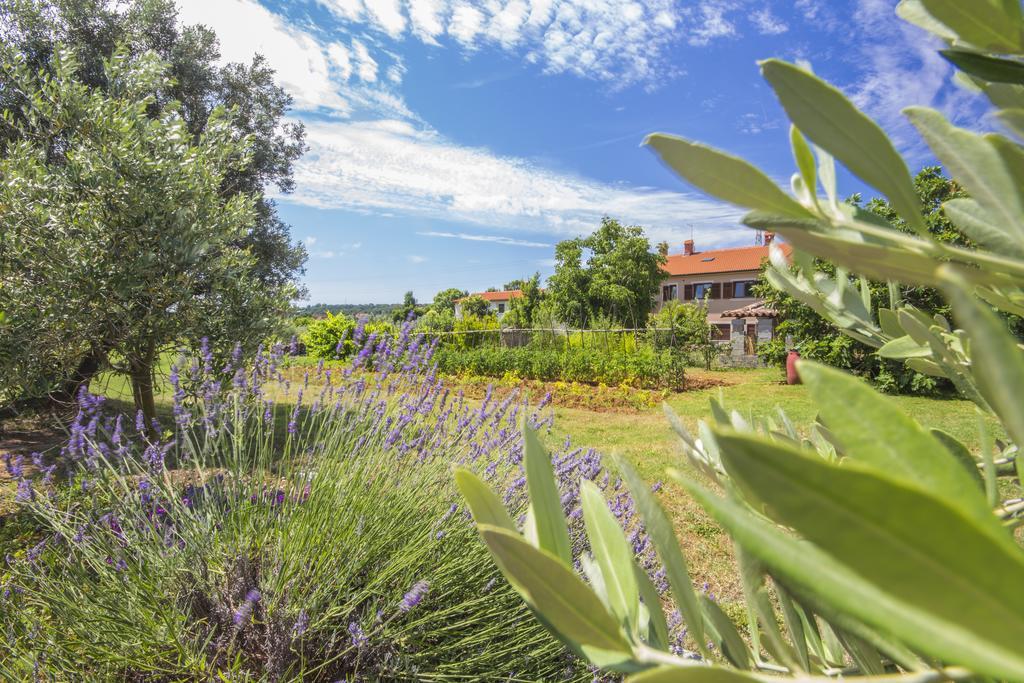 Apartment Istria *